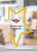 Trofeo de estrella en metacrilato-2 Thumb