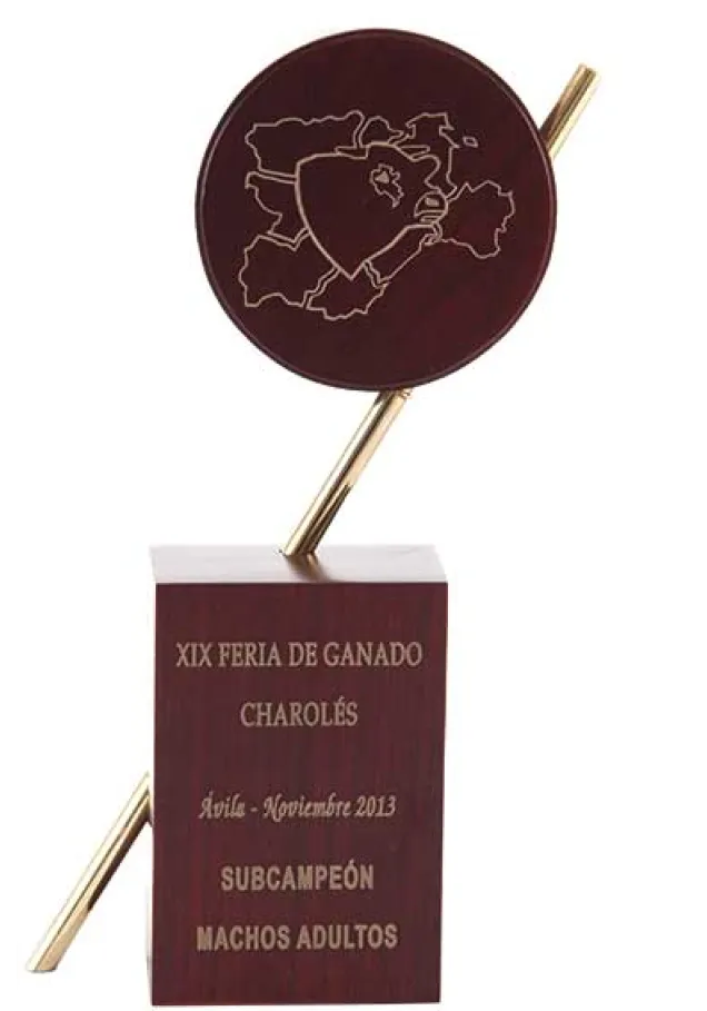 Der Metallkörper aus Holz Trophäe Prisma Kreis