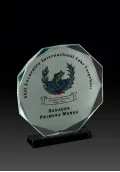 Trofeo de cristal octogonal con imagen en color-1 Thumb