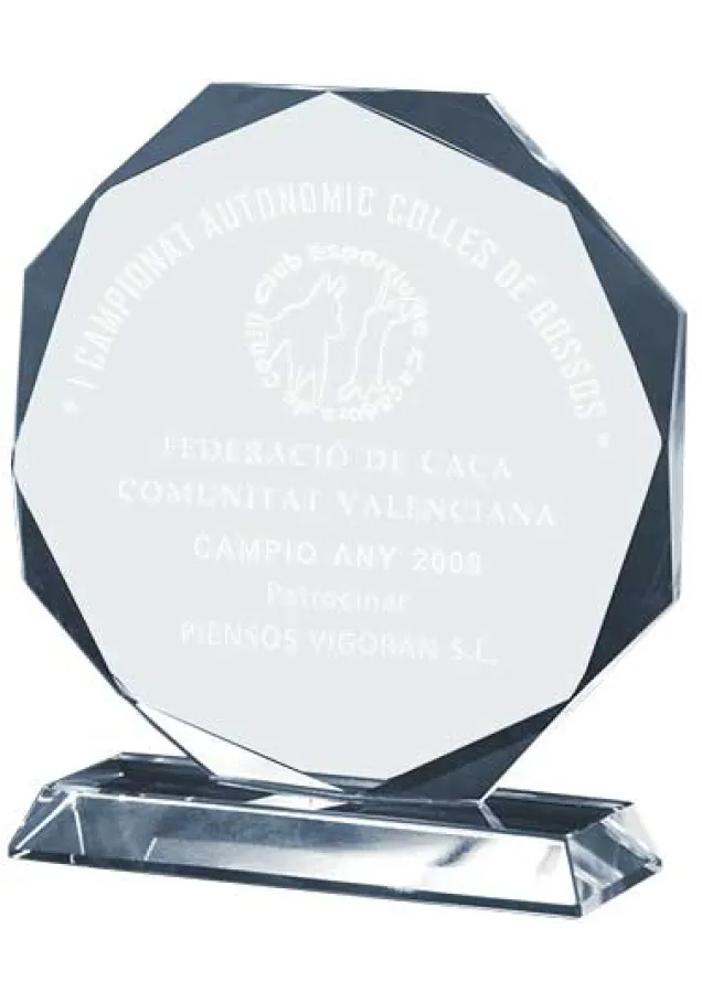 Octagonal Kristalltrophäe rechteckigen Basis