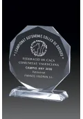 Trofeo de cristal forma octogonal base rectangular Thumb