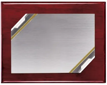 Plaque Tribut Silber mit rechteckiger Form und Detail von vier Nieten an den vier Ecken