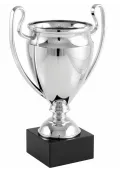 Copa Europa mini replica Thumb