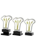Trofeo de Cocina Thumb